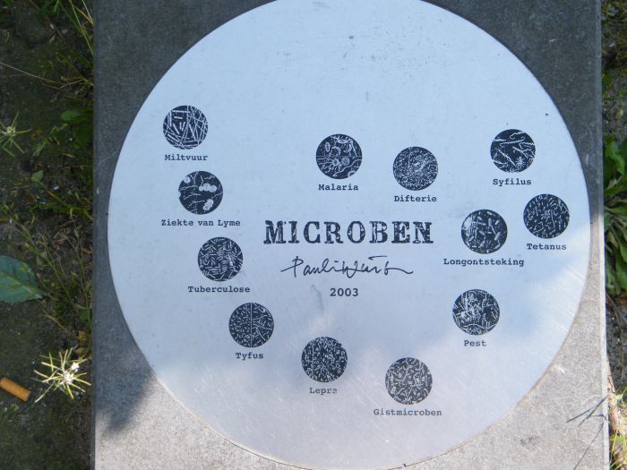 Microbe