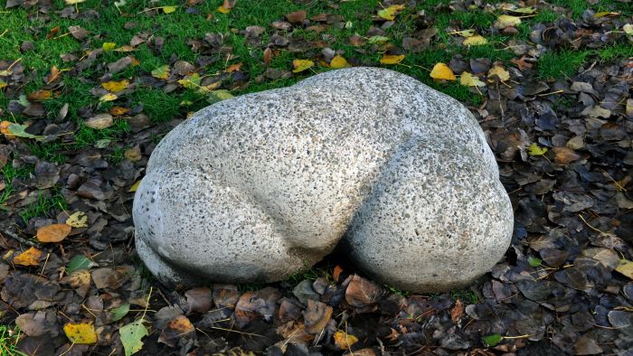 Lief beton