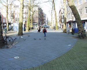 In 't blauw
