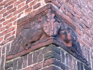Pelikanen en oude-mannenkoppen