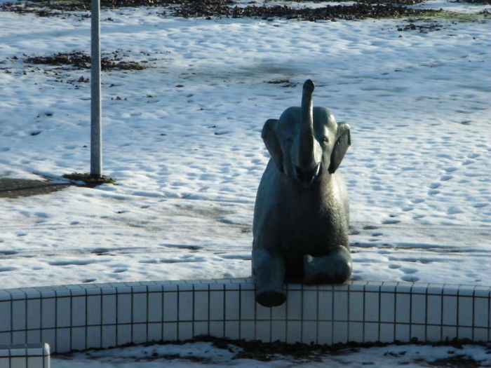 Olifant Olifant