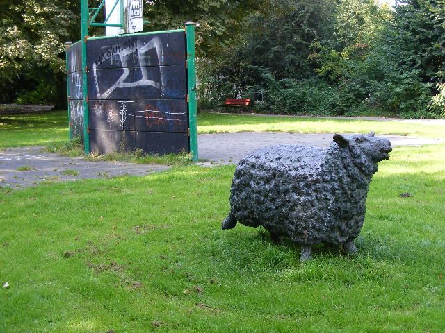 Schaap  met vijf poten