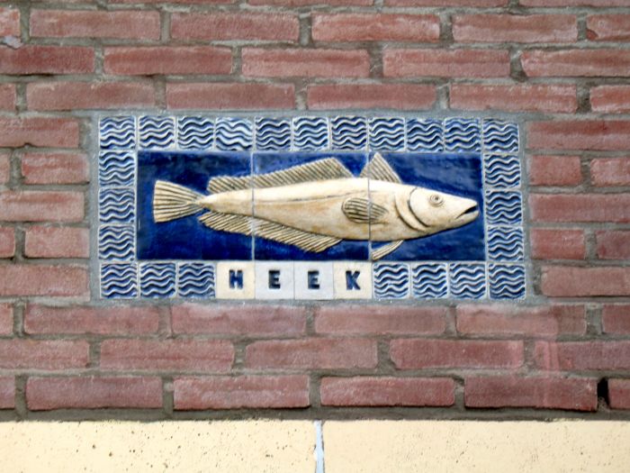 Noordzeevissen