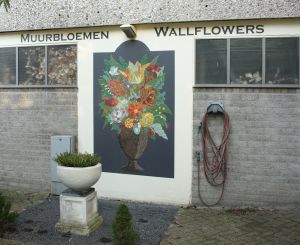 Wallflowers