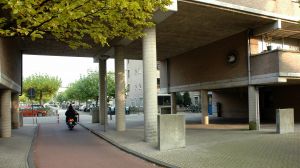 Varkenskop in ronde omlijsting