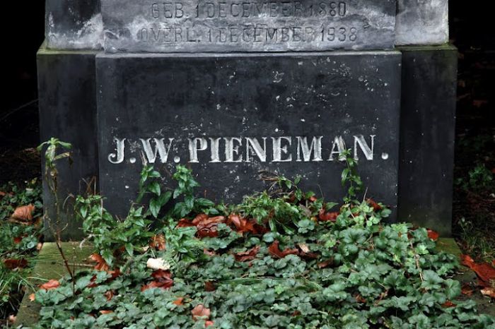 Grafmonument van Jan Willem Pieneman