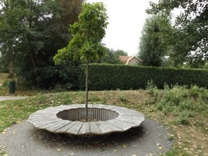 Weesper Geluksbank