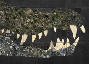 The crocodile.......etc