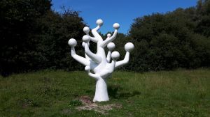 Witte bollenboom