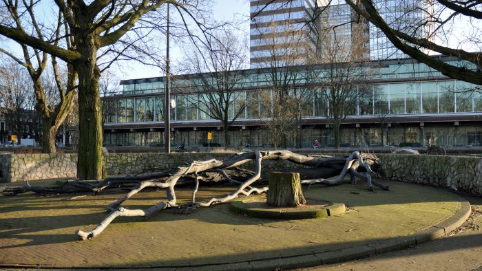 Monument voor Walraven van Hall