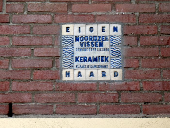 Noordzeevissen