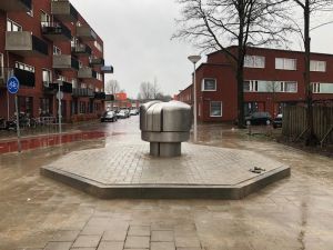 Paddenstoel 