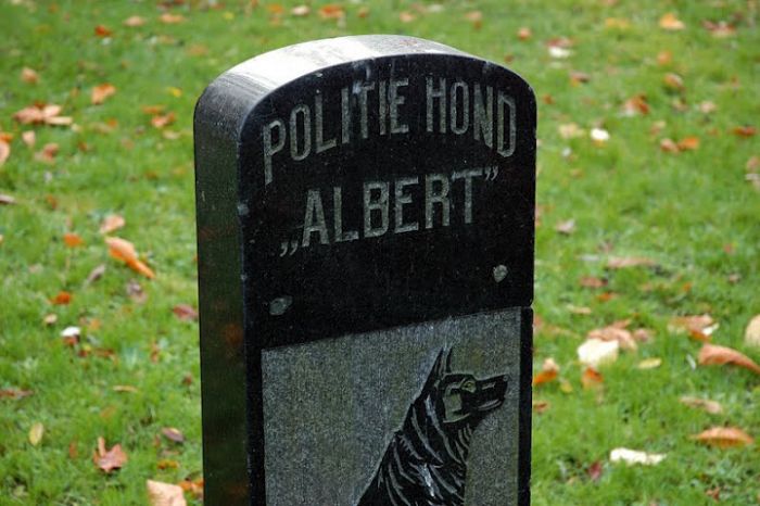 Monument politiehond 'Albert' 